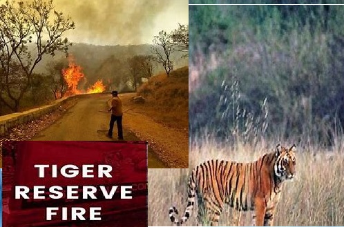 fire in corbett tiger reserve