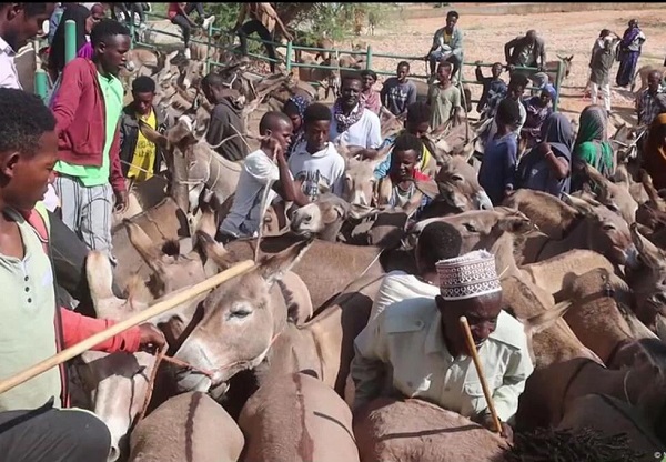 00000000000000000000000