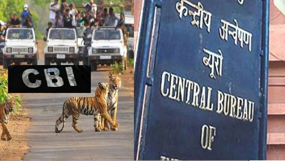 कॉर्बेट पाखरो सफारी केस