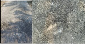 बनते ही क्षतिग्रस्त: जगह-जगह क्षतिग्रस्त हुई मुक्तिधाम सड़क