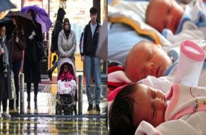 00000000000-1769754369