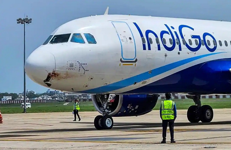 00000000000000-1767593346