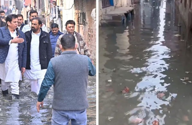 00000000000000-1769063415