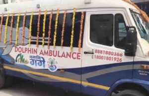 Dolphin Ambulance