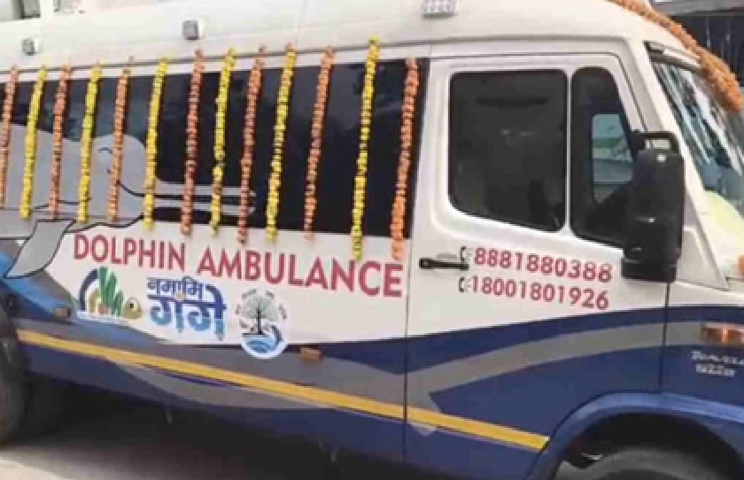 Dolphin Ambulance