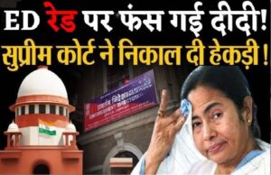mamta DD