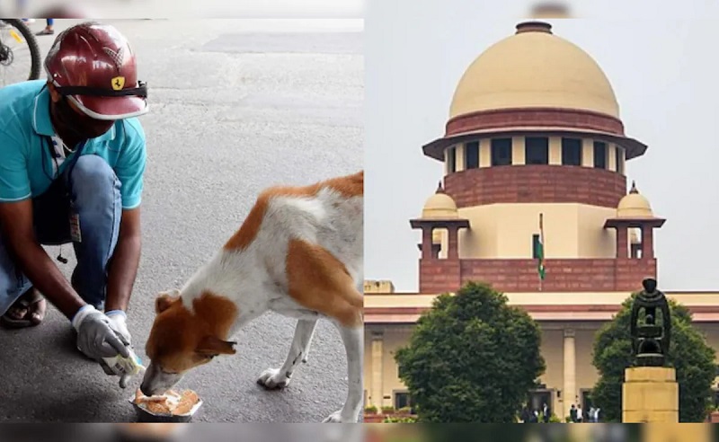 mohamad-kaif-1768293335