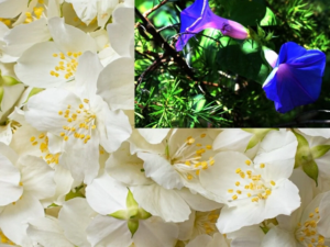 yyyyyyyyy-1768647086