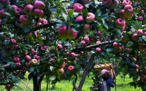 0000000000-1770877413