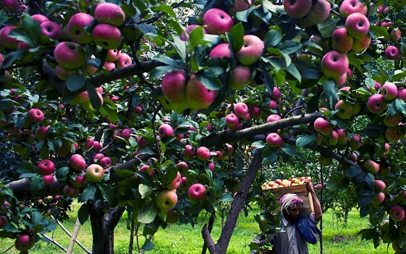 0000000000-1770877413