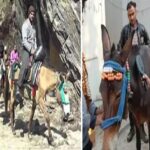 Registration of Horeses