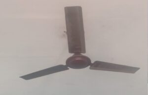 फुंका हुआ पंखा