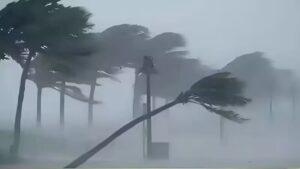 10-50-1778416138