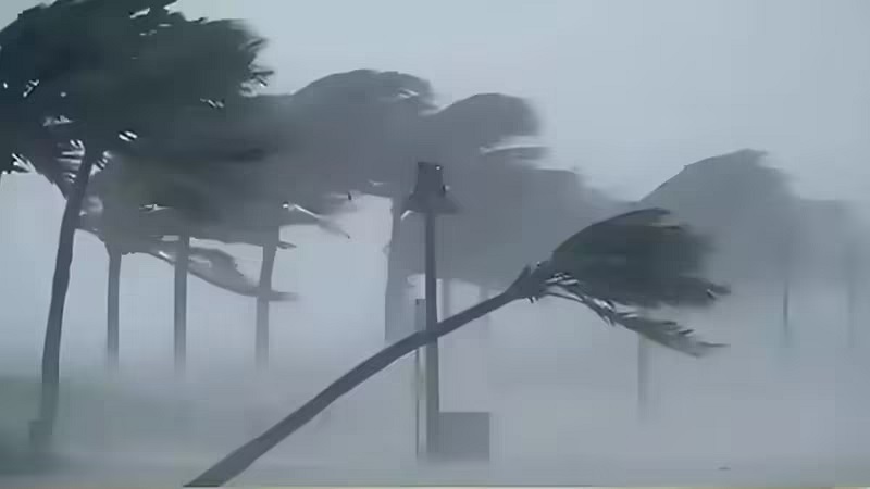 10-50-1778416138