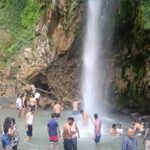 Tiger fall