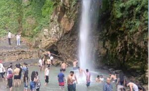 Tiger fall