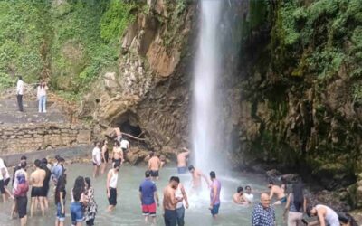 Tiger fall