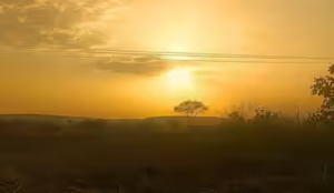 untitled-1779696879