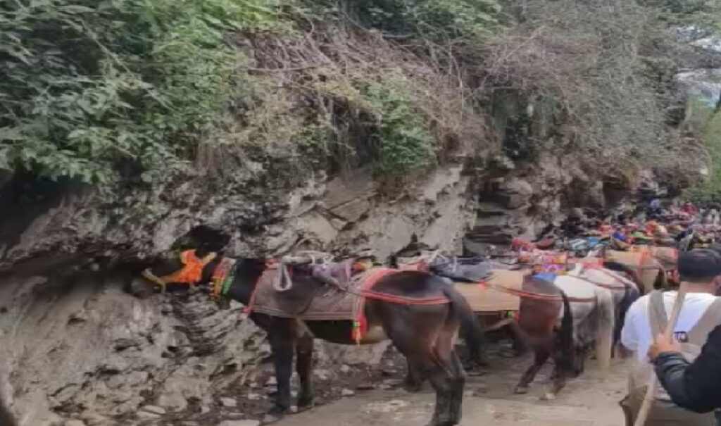 Kedarnath Yatra