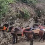 Kedarnath Yatra