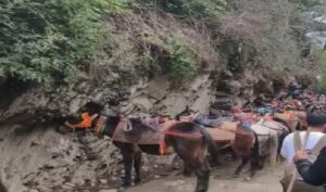 Kedarnath Yatra