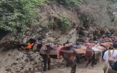 Kedarnath Yatra