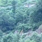 Uttarakhand Weather