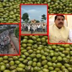 MP सरकार का बड़ा फैसला: किसानों से 60% मूंग खरीदेगी सरकार, खाद की ई-टोकन व्यवस्था फिलहाल स्थगित