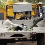 शिवपुरी में संदिग्ध मौत से सनसनी, पेड़ पर लटका मिला युवक; पुलिस हर पहलू की जांच में जुटी