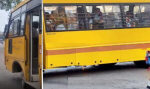 School Buses