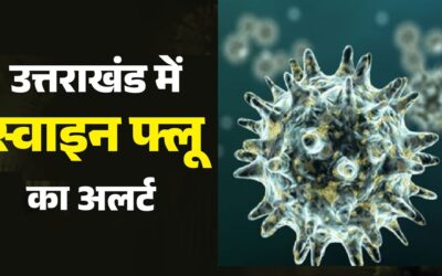 Swine Flu