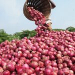 प्याज महंगा हुआ तो सरकार ने बढ़ाई सप्लाई, बफर स्टॉक खोला, ‘कांदा एक्सप्रेस’ से ढुलाई शुरू