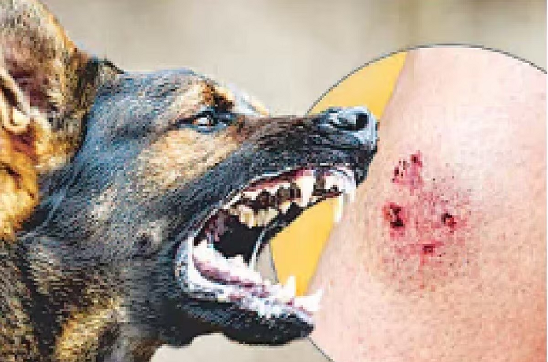 16-1790585598