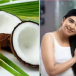 झड़ते बालों से हैं परेशान तो ऐसे करें नारियल तेल का इस्तेमाल जानिए लगाने का सही तरीका और जरूरी सावधानियां