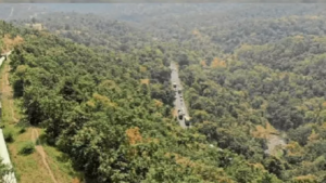 0-1792136216