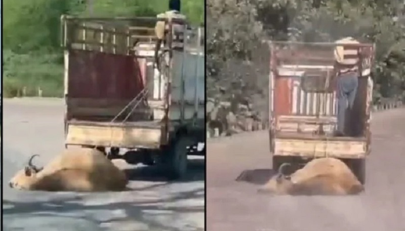 33-1792152165