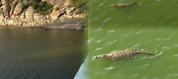 river-1790926258